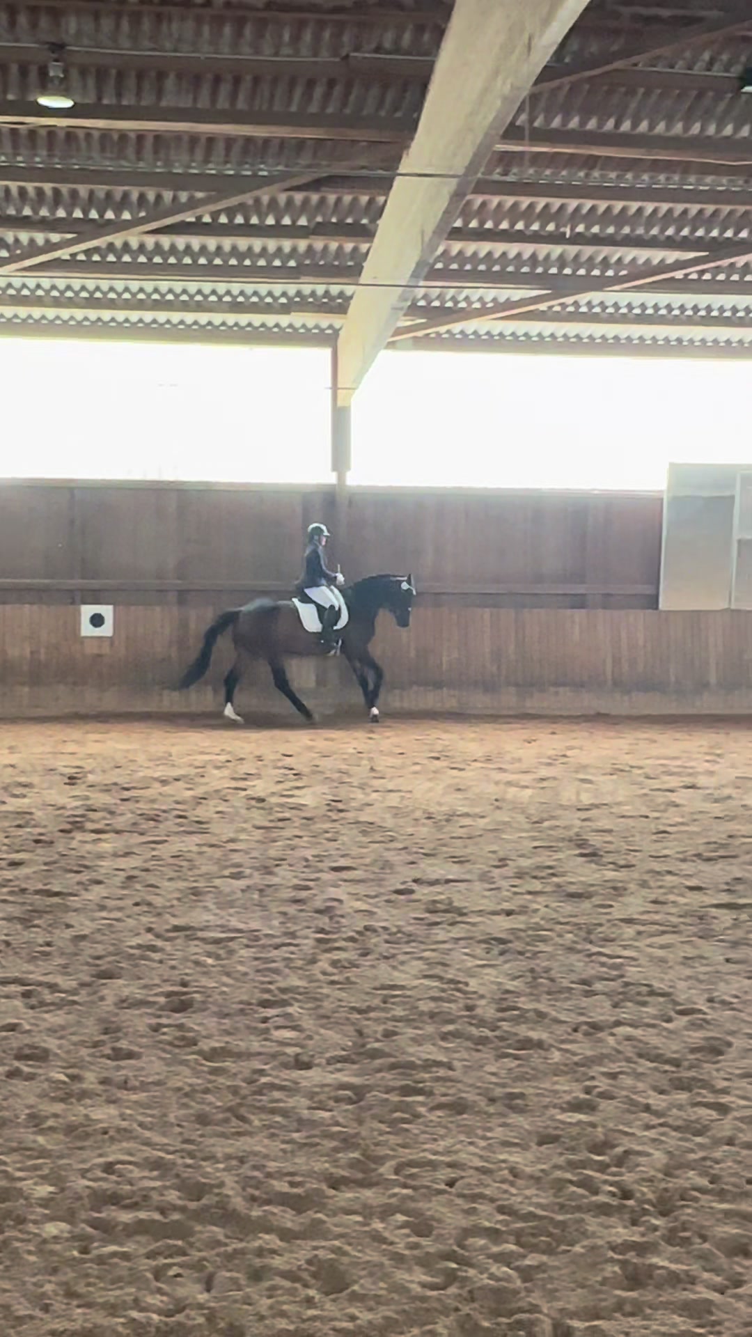 @Horses_rb_