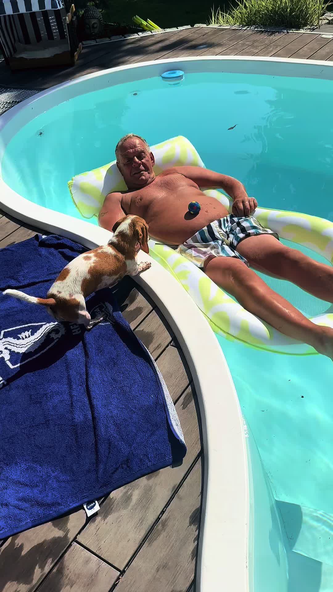 @Mileythedackel