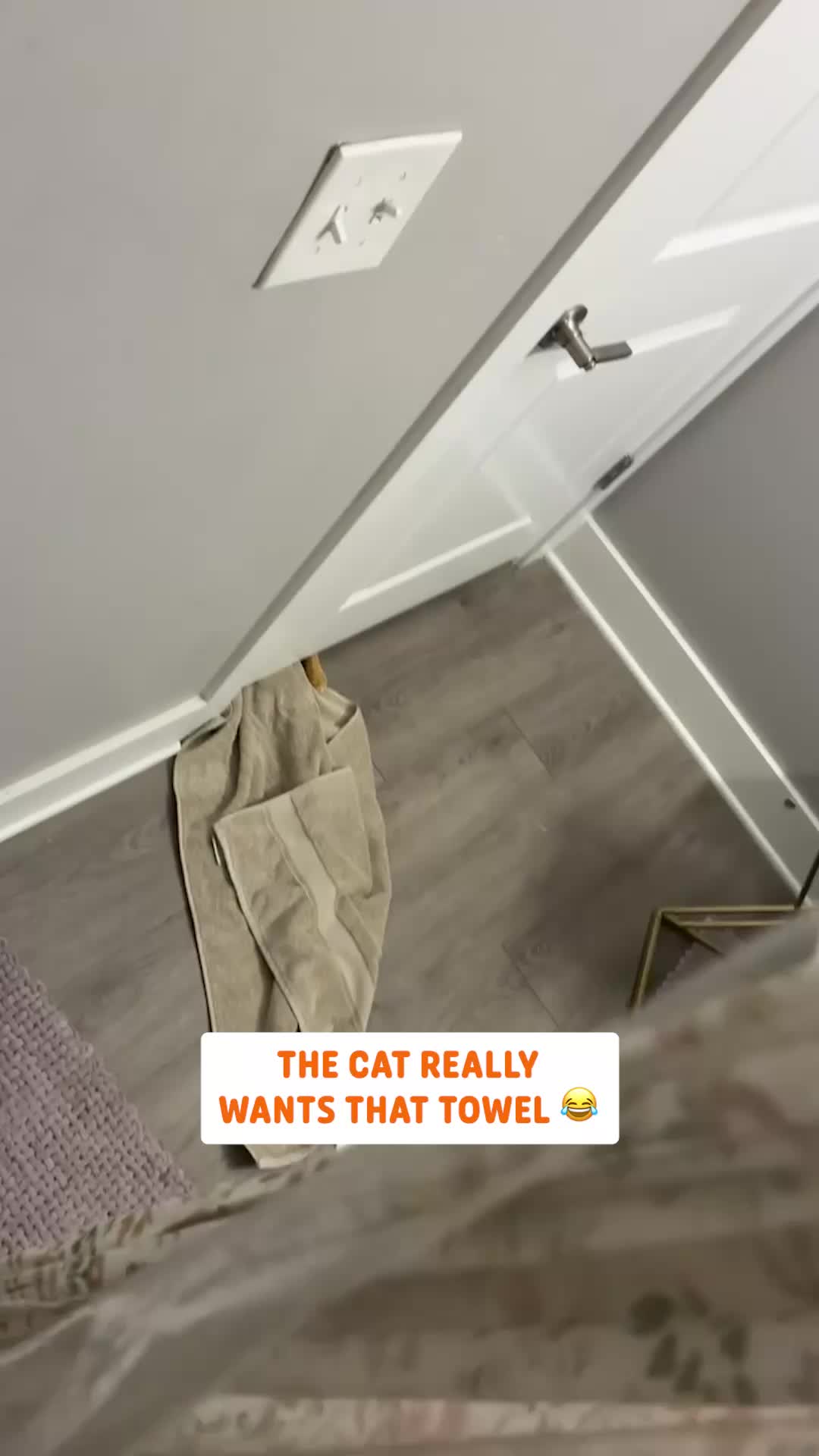 @Pawsome Pets