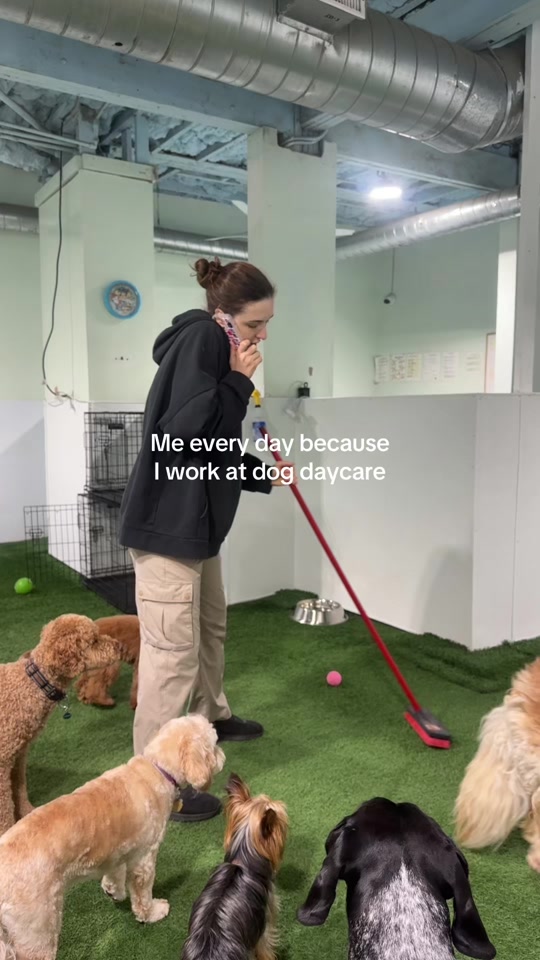 @Camp Canine Toronto