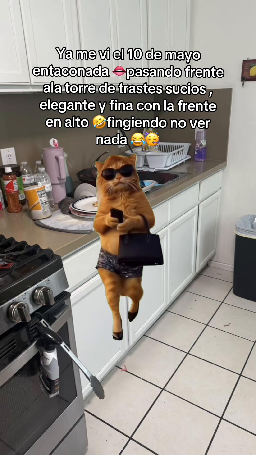 @Sary