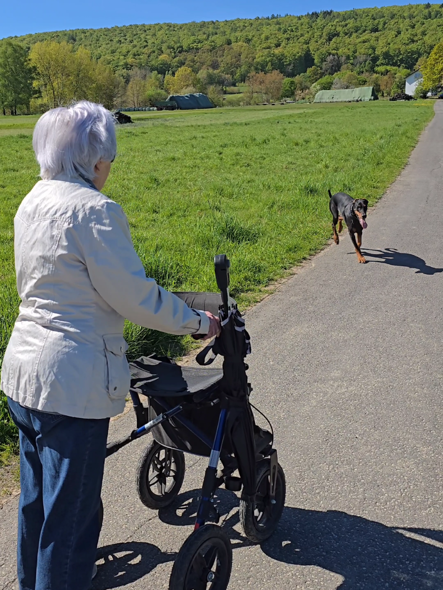 @dobermanndeutschland
