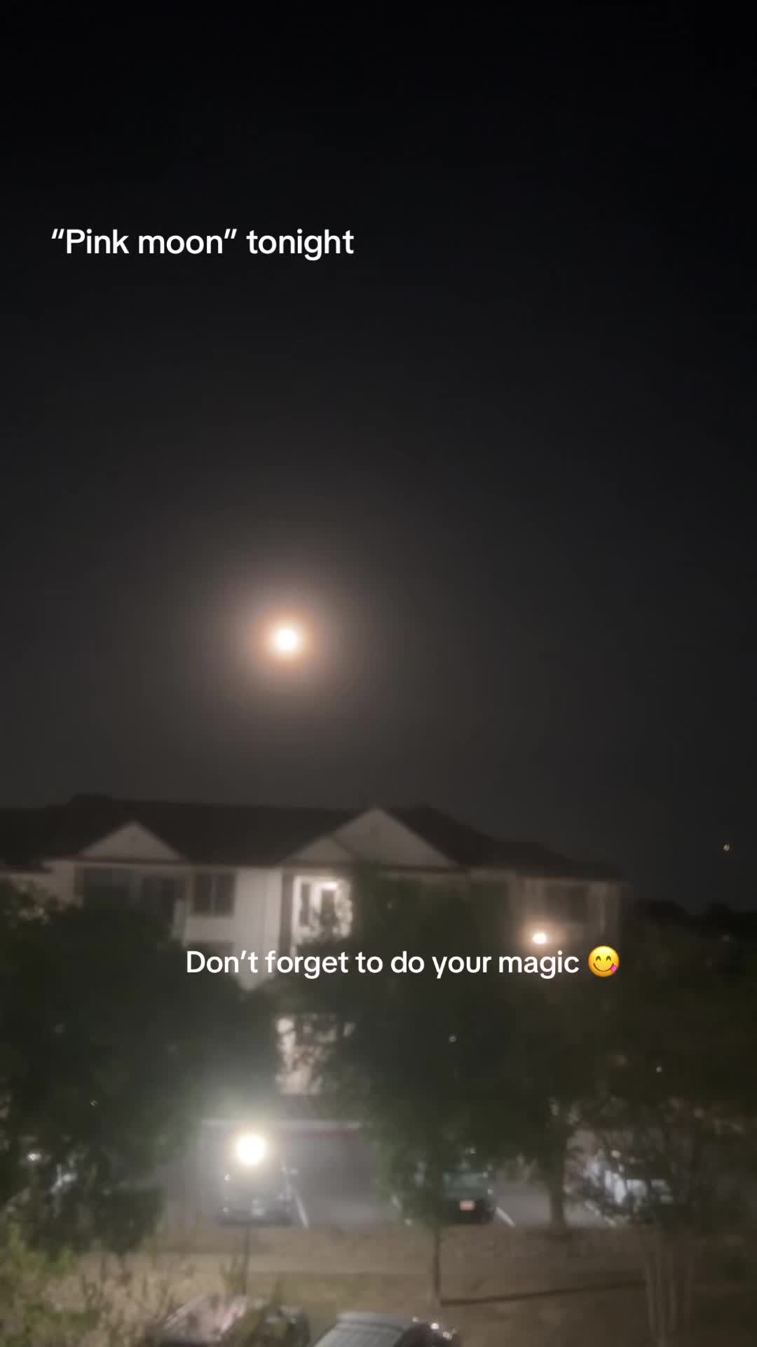 @Sophia Morales