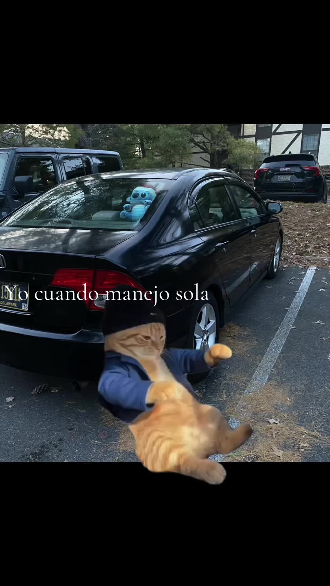 @️Gabyy 🦋