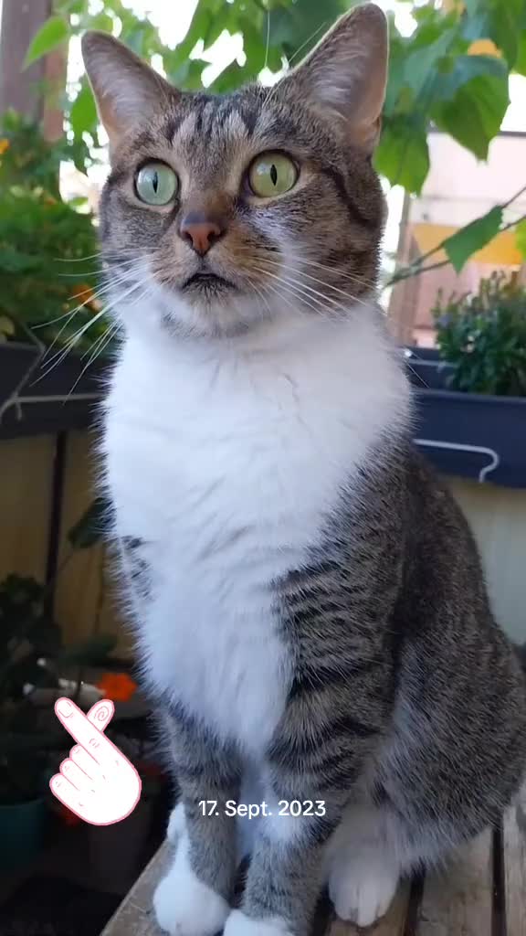 @Scotty🐱🐾🐱🐾 🐱🐾🐱🐾🐱🐾