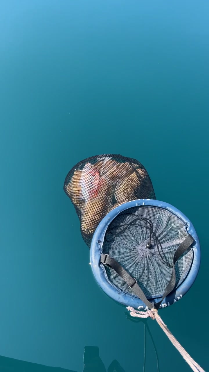 @Accro&rsquo;P&ecirc;ch 66
