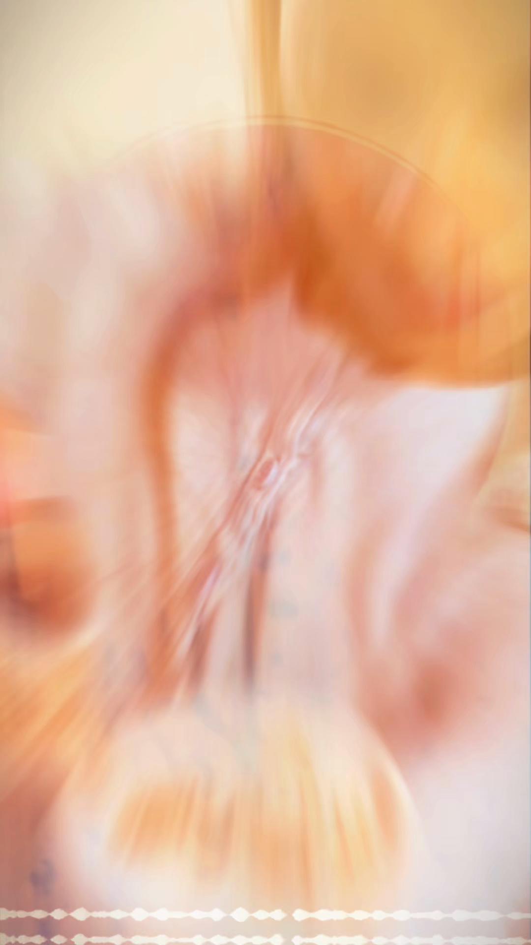 @SaMa||๐ฑ๐ฐโ๐