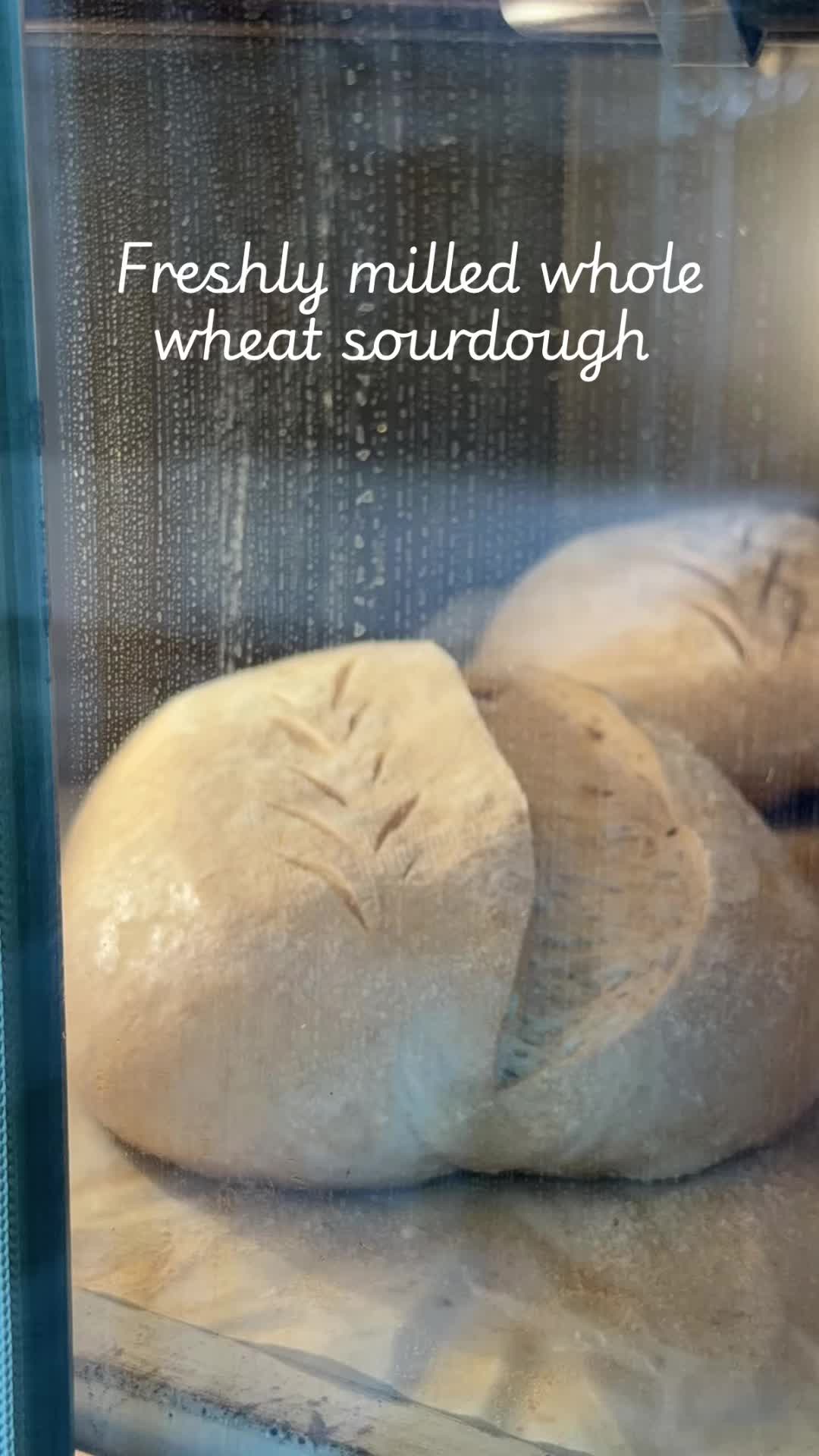 @alimakesbread