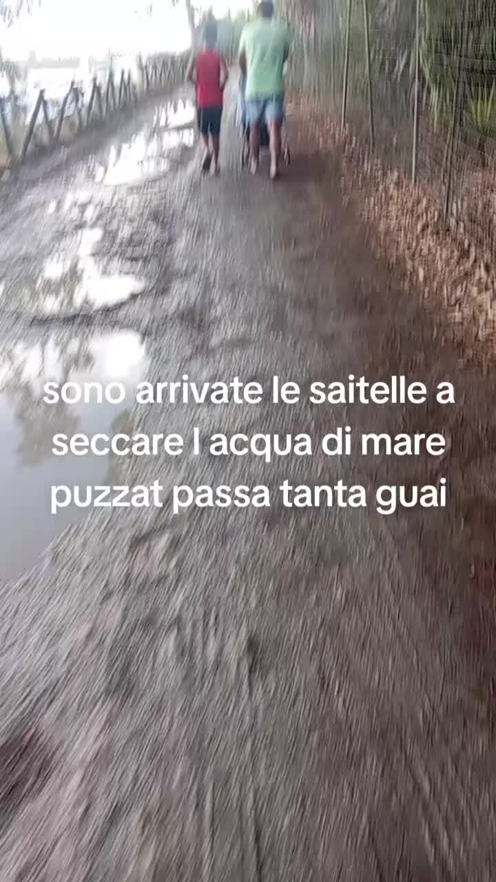 @Brigidaantonio86
