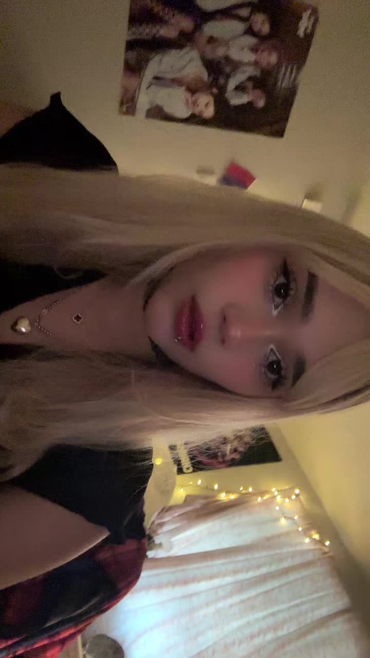 @dinopawwz