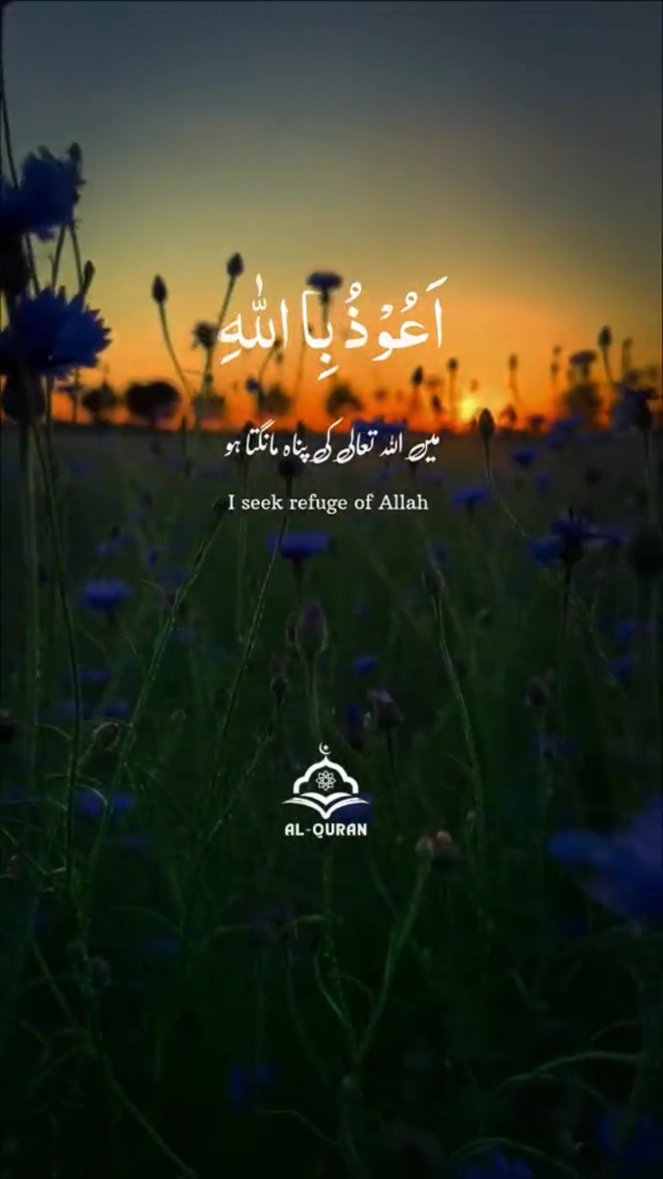 @islamic.tiktok.com2