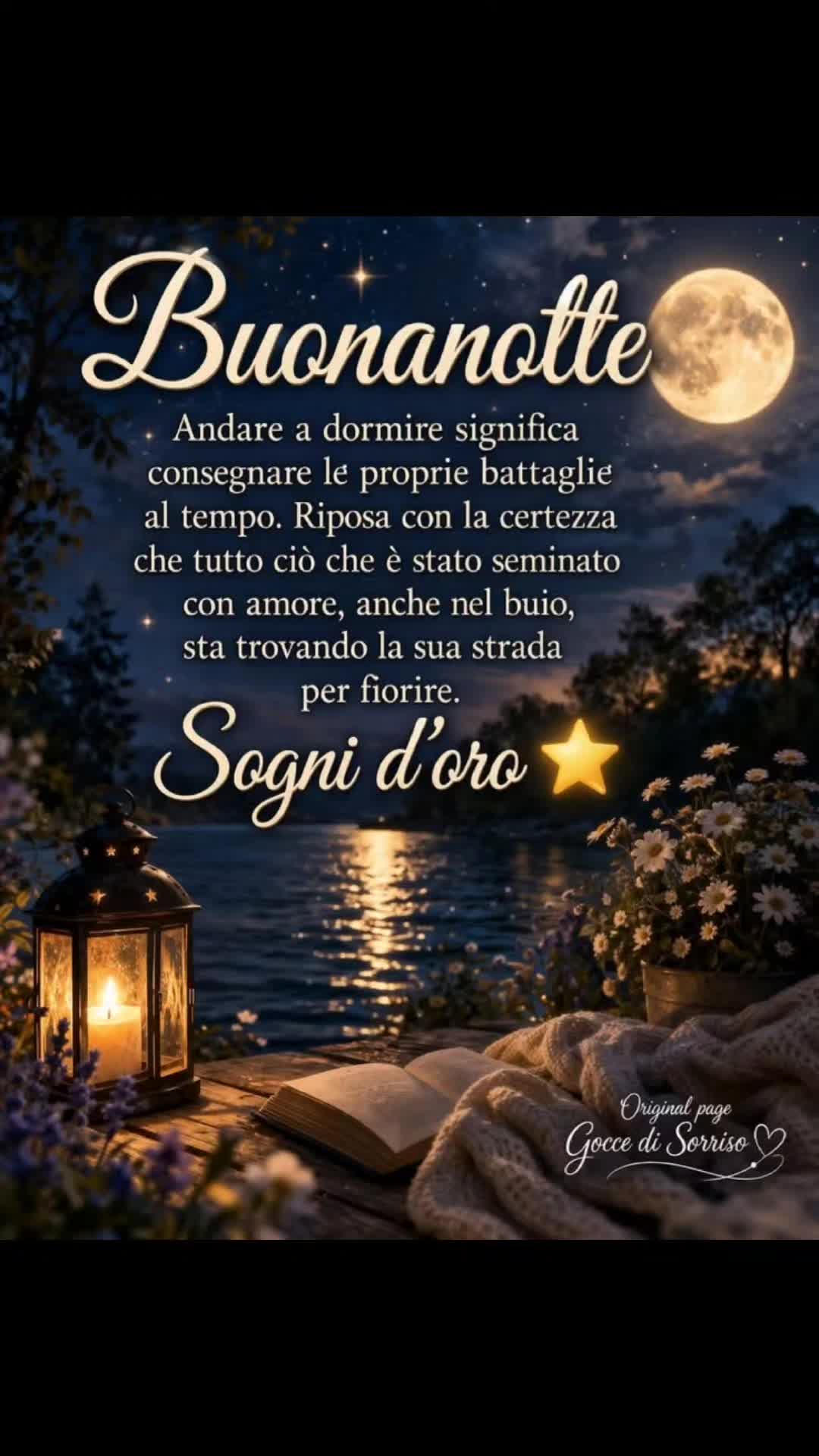 @Caterina.Zanni204