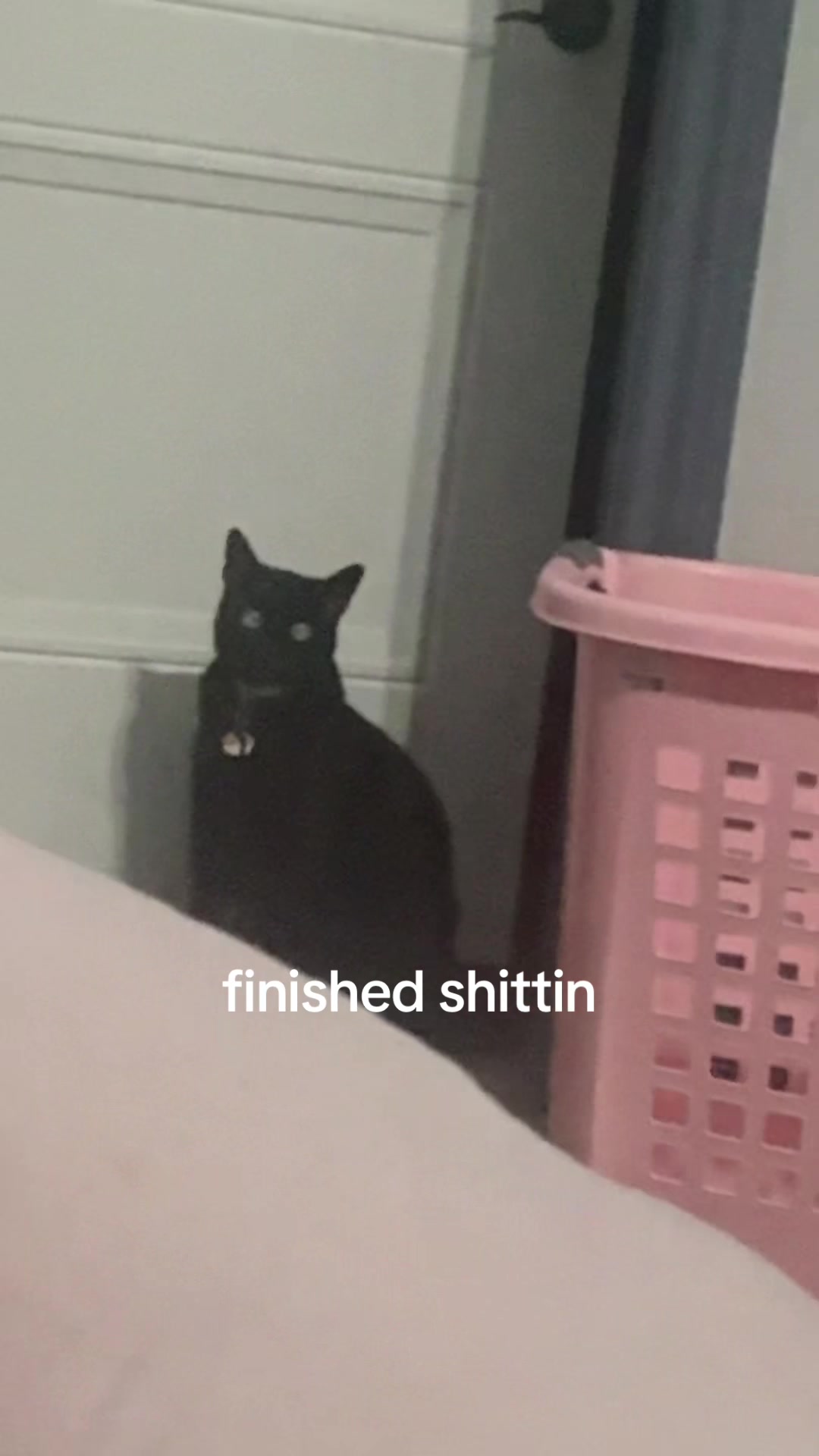 @ashley