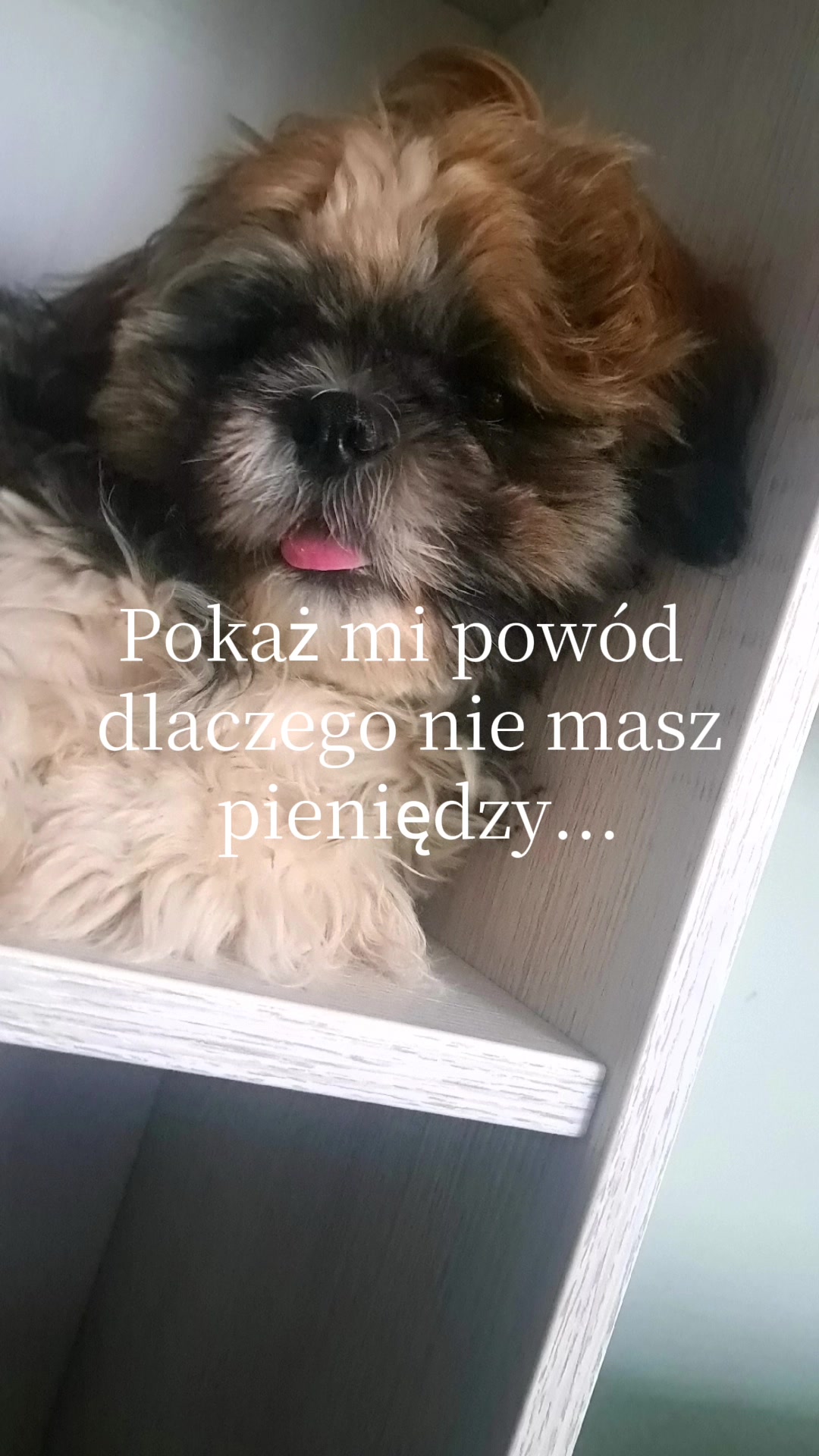 @Marta Wieczorek