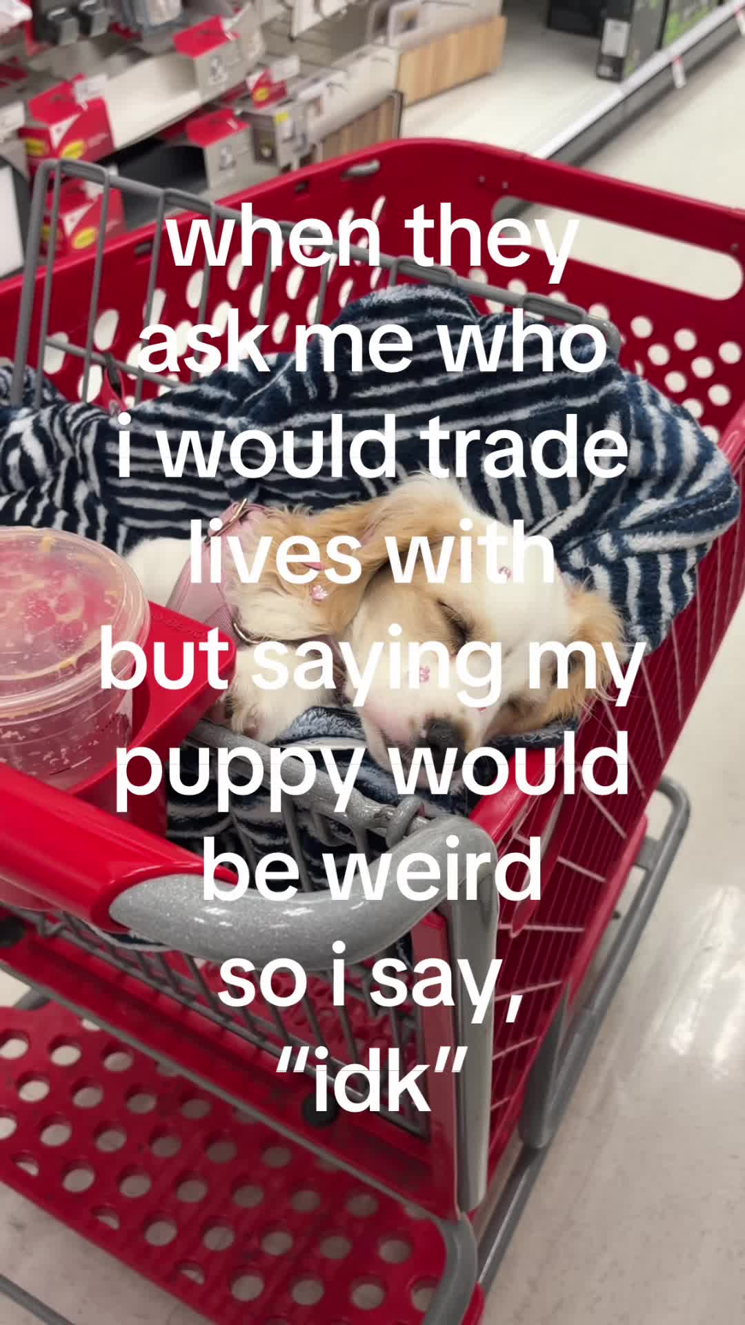 @itaticashman