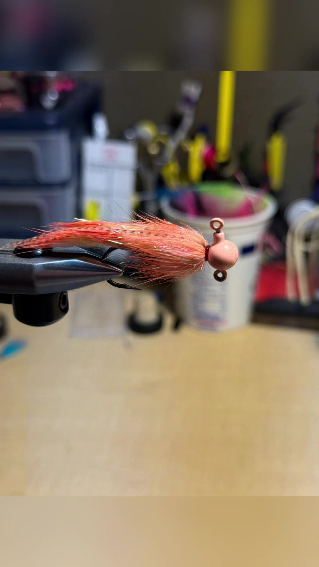 @inspectorskagit