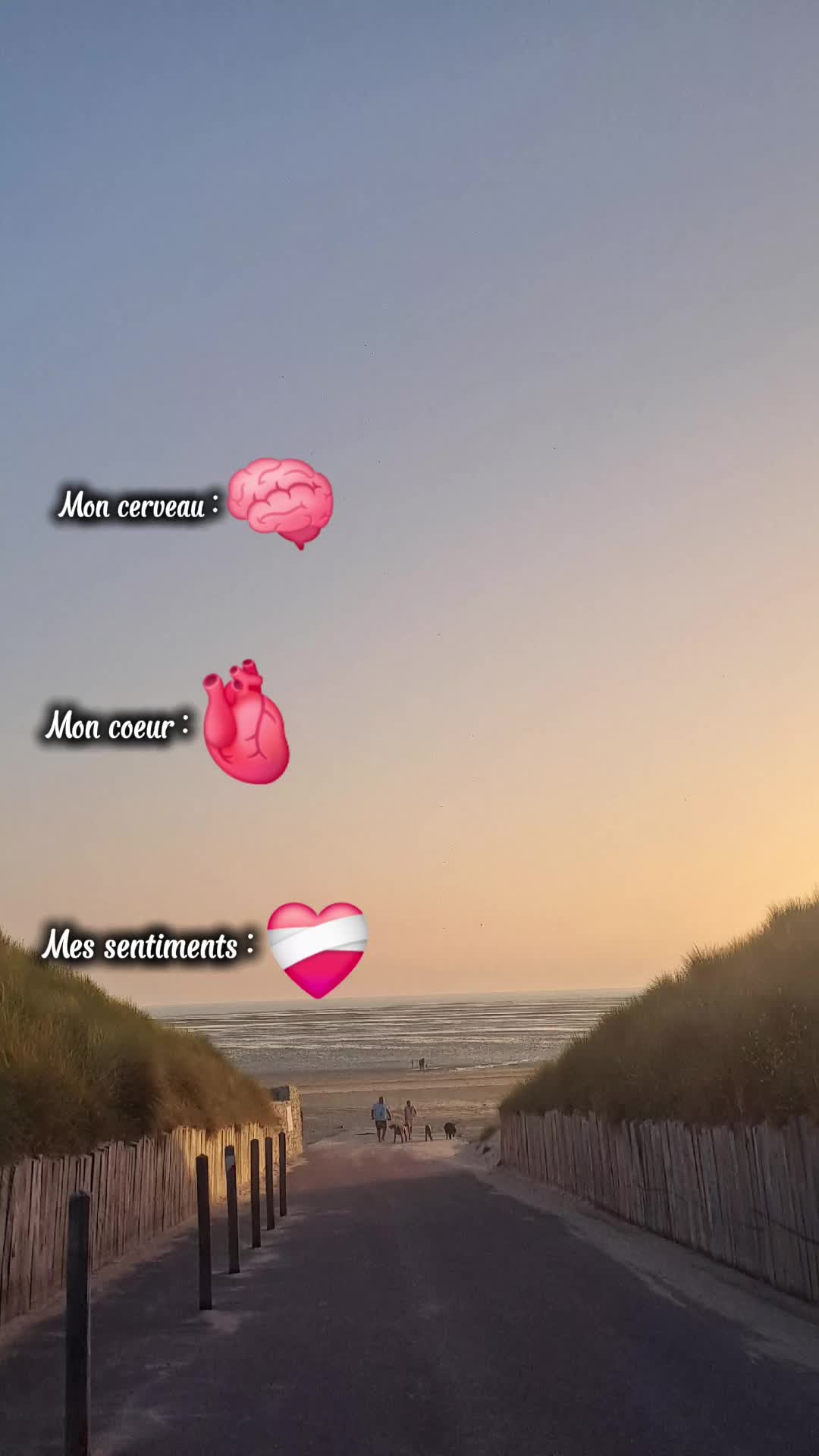 @C&eacute;libataire 💔