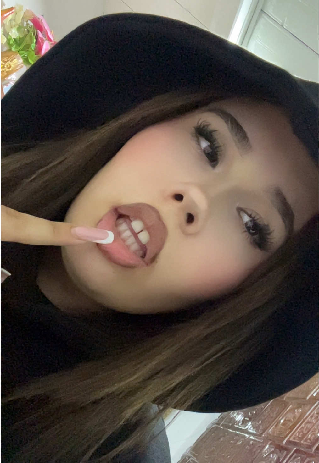 @aleborha