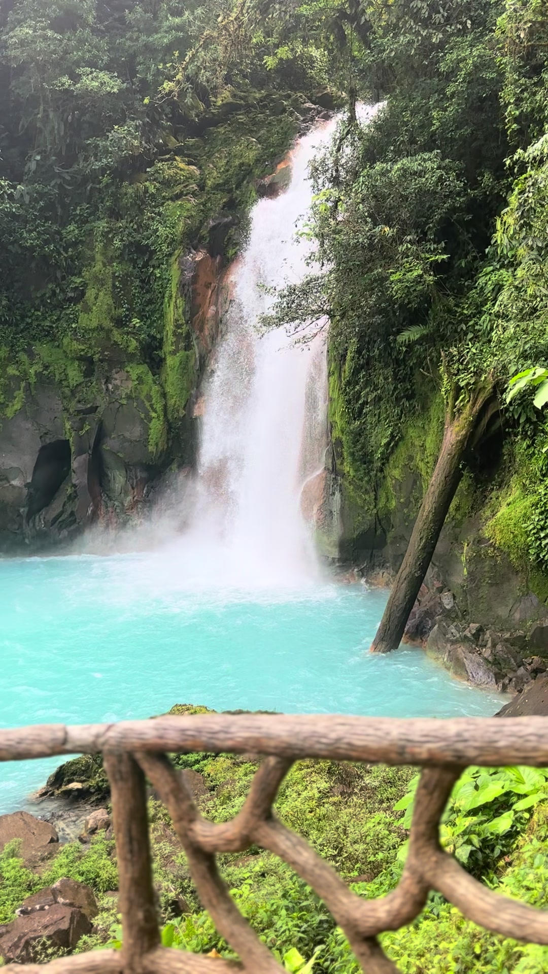@Alex|Travel &bull; Lifestyle &bull; Food