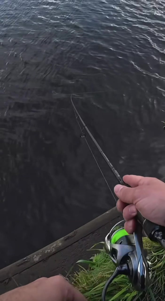 @endlessfishing