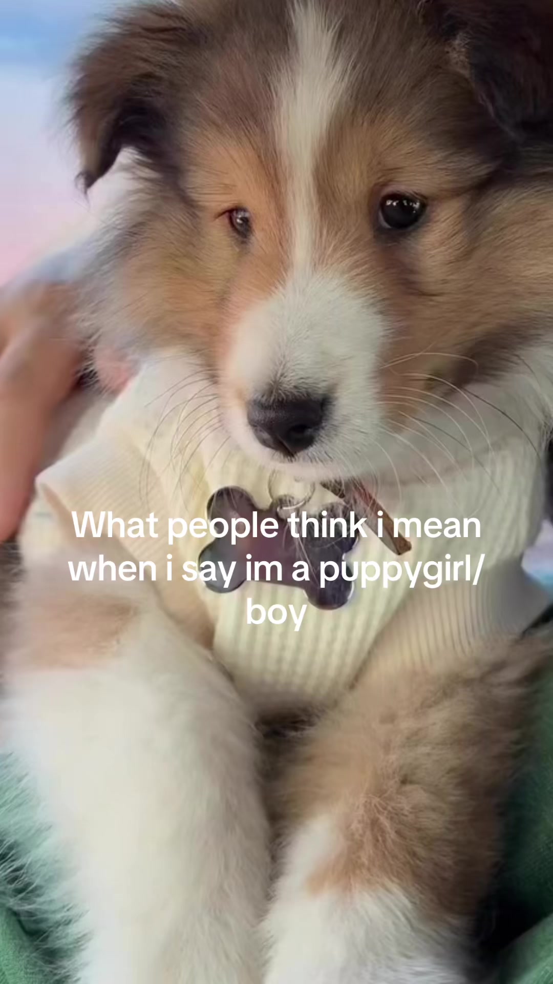 @mimi🐾