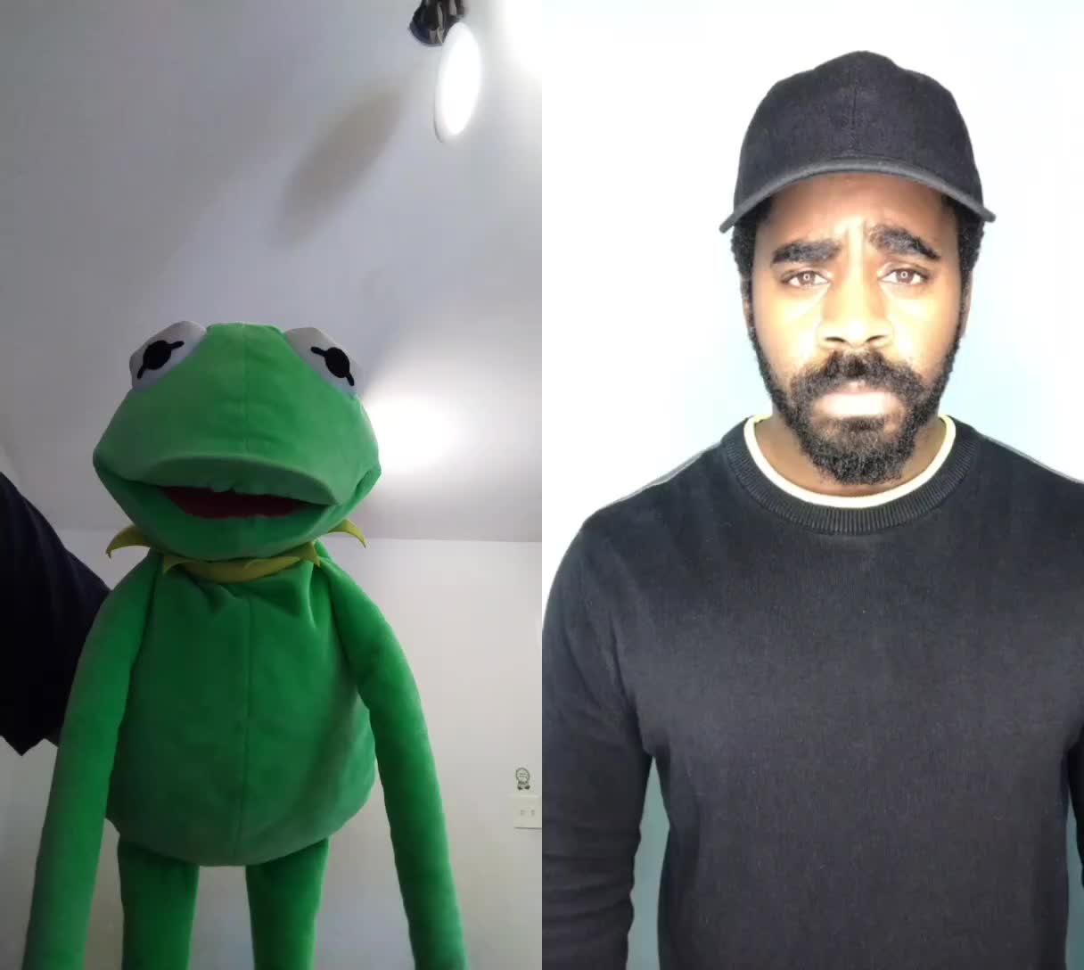 @Kermit The Frog Tiktok