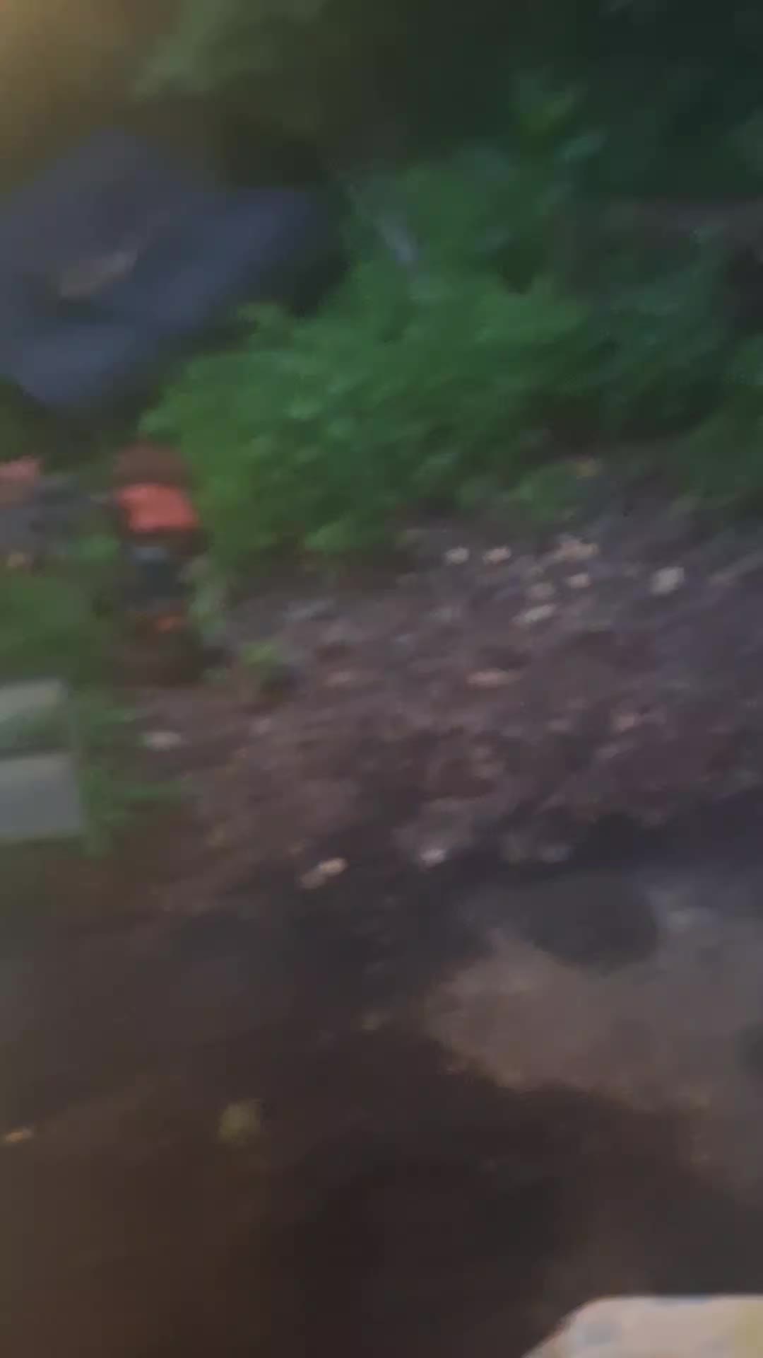 @EarthAngelAmyLynn