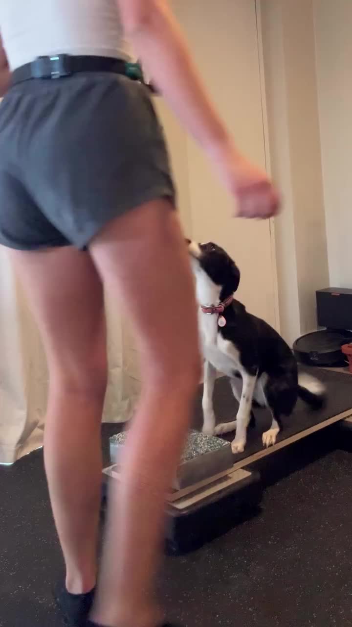@Marissa | K9 Fitness Coach 🐾