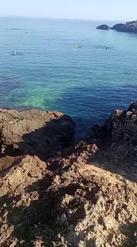 @monica.smile20