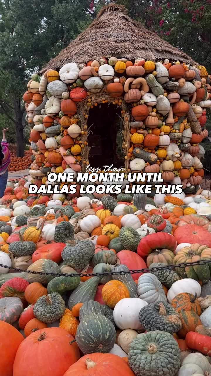 @Dallas Discovered