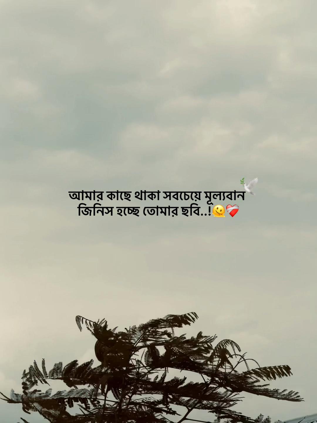 @Jahidul lslam 95