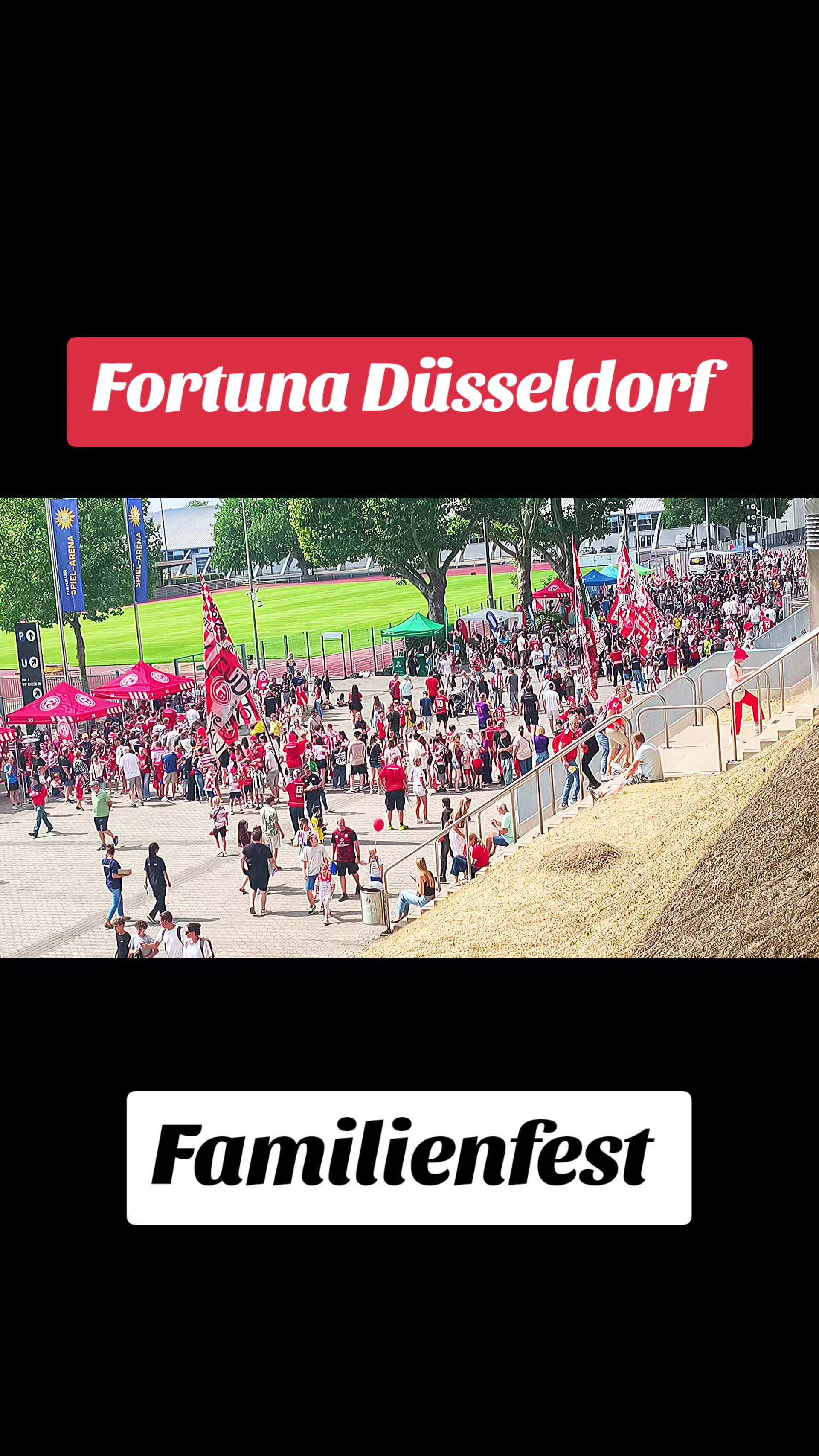 @patrickpl50
