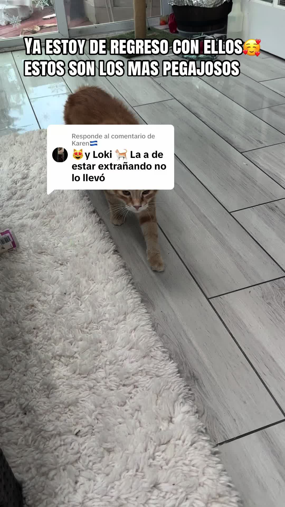 @rescatados por Chase