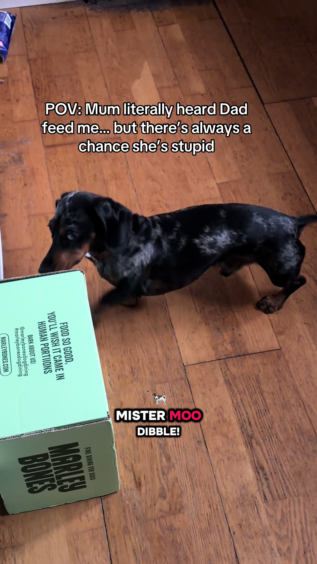 @dibblydobbly_dax