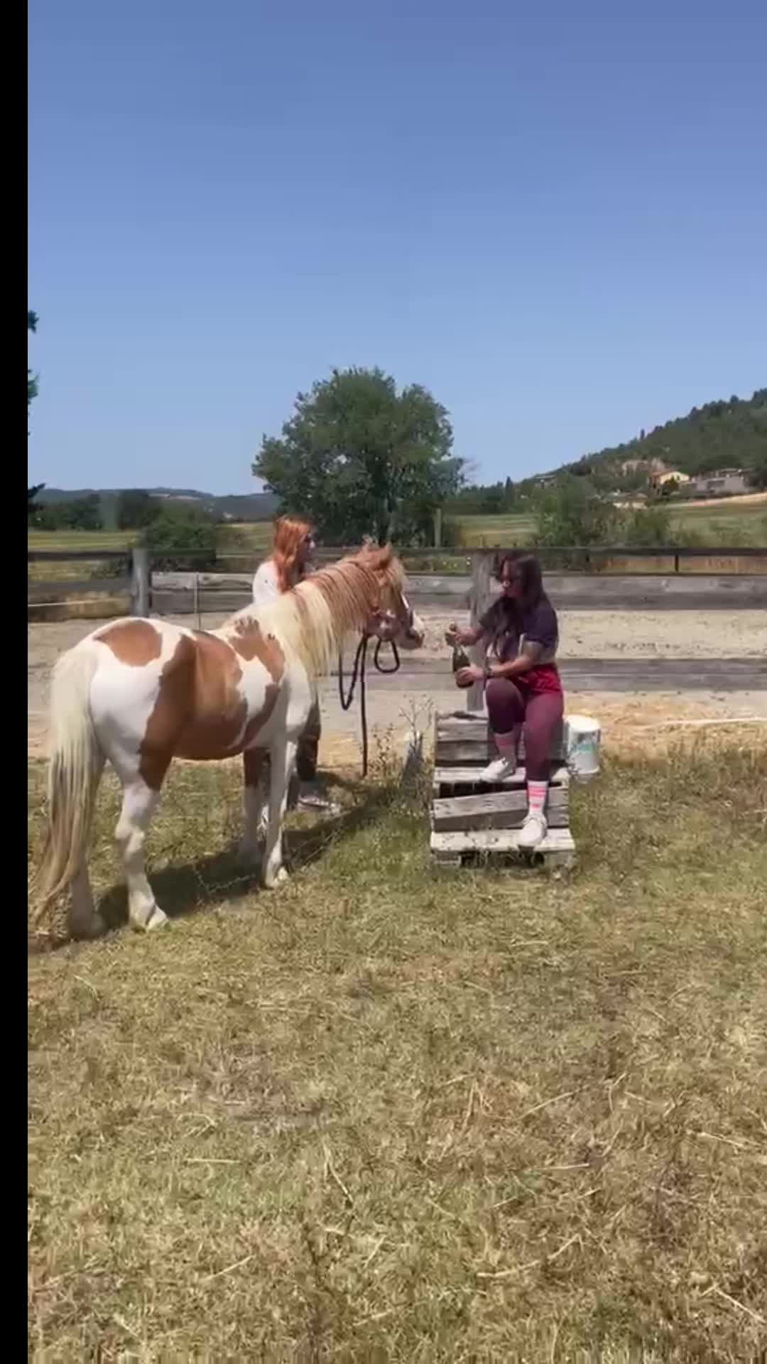 @Maria