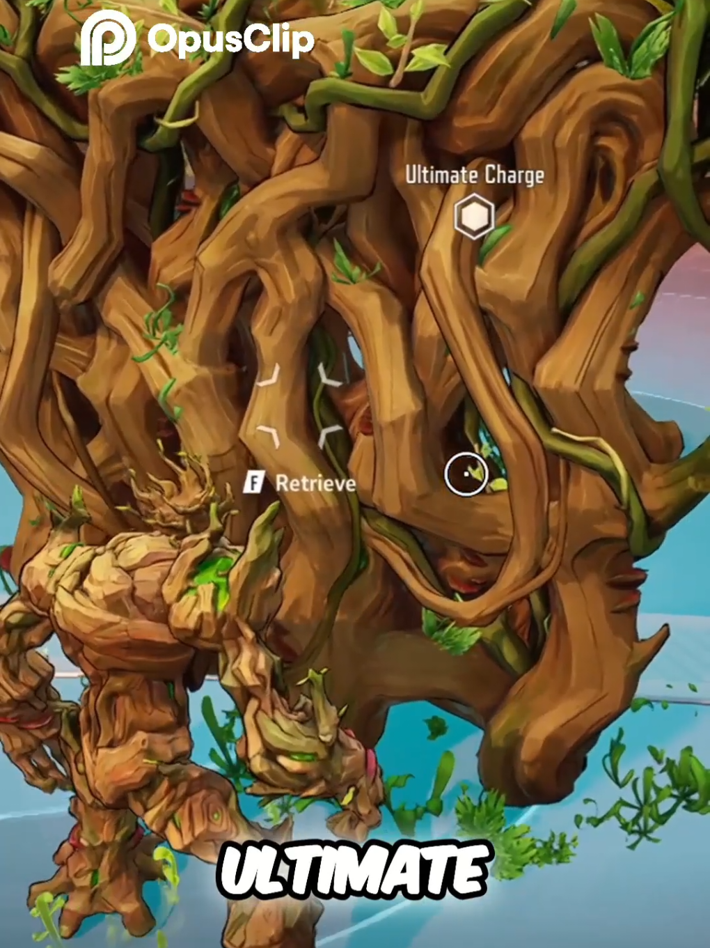@arctic w1n