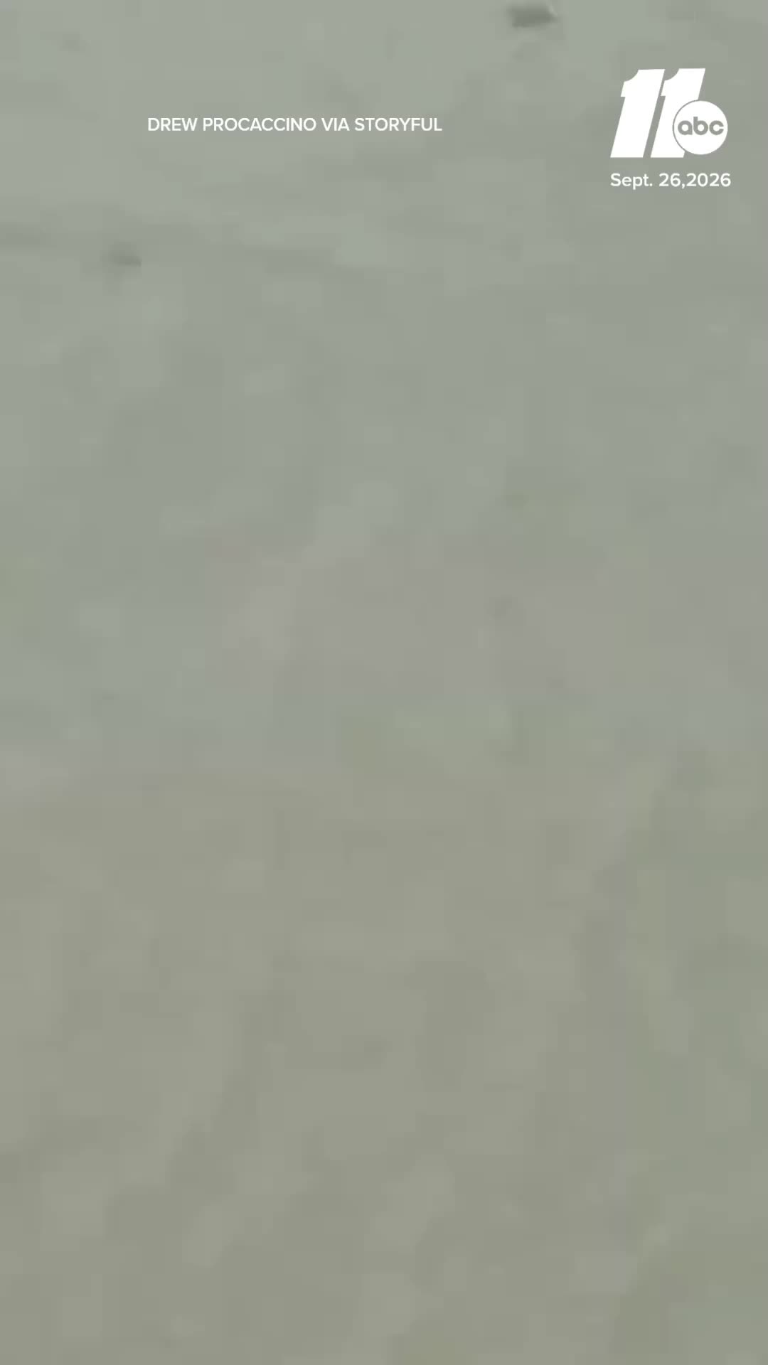 @ABC11