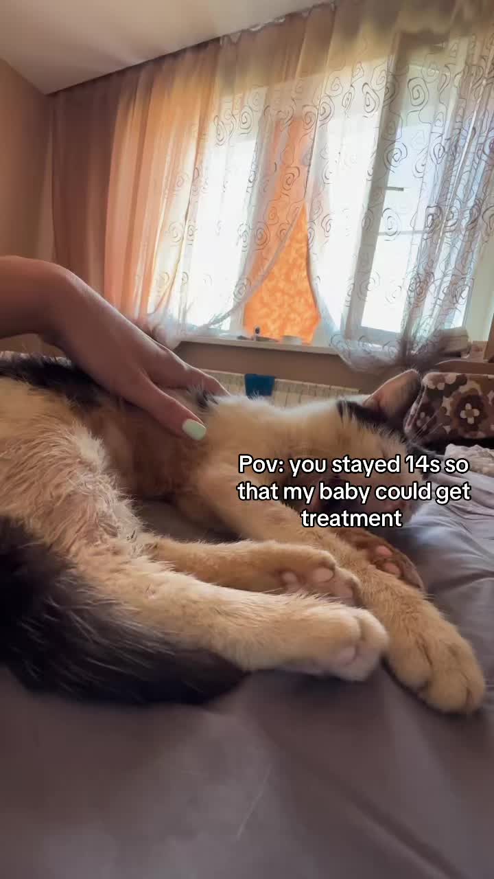 @wemakerescues