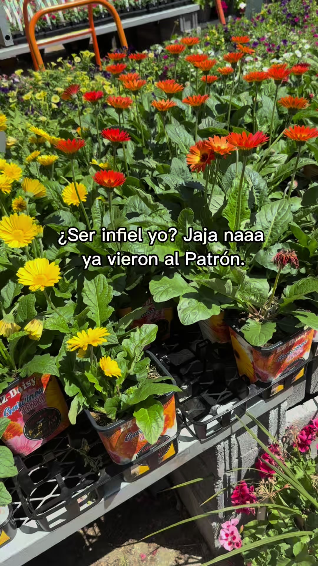 @Nuris Castillo