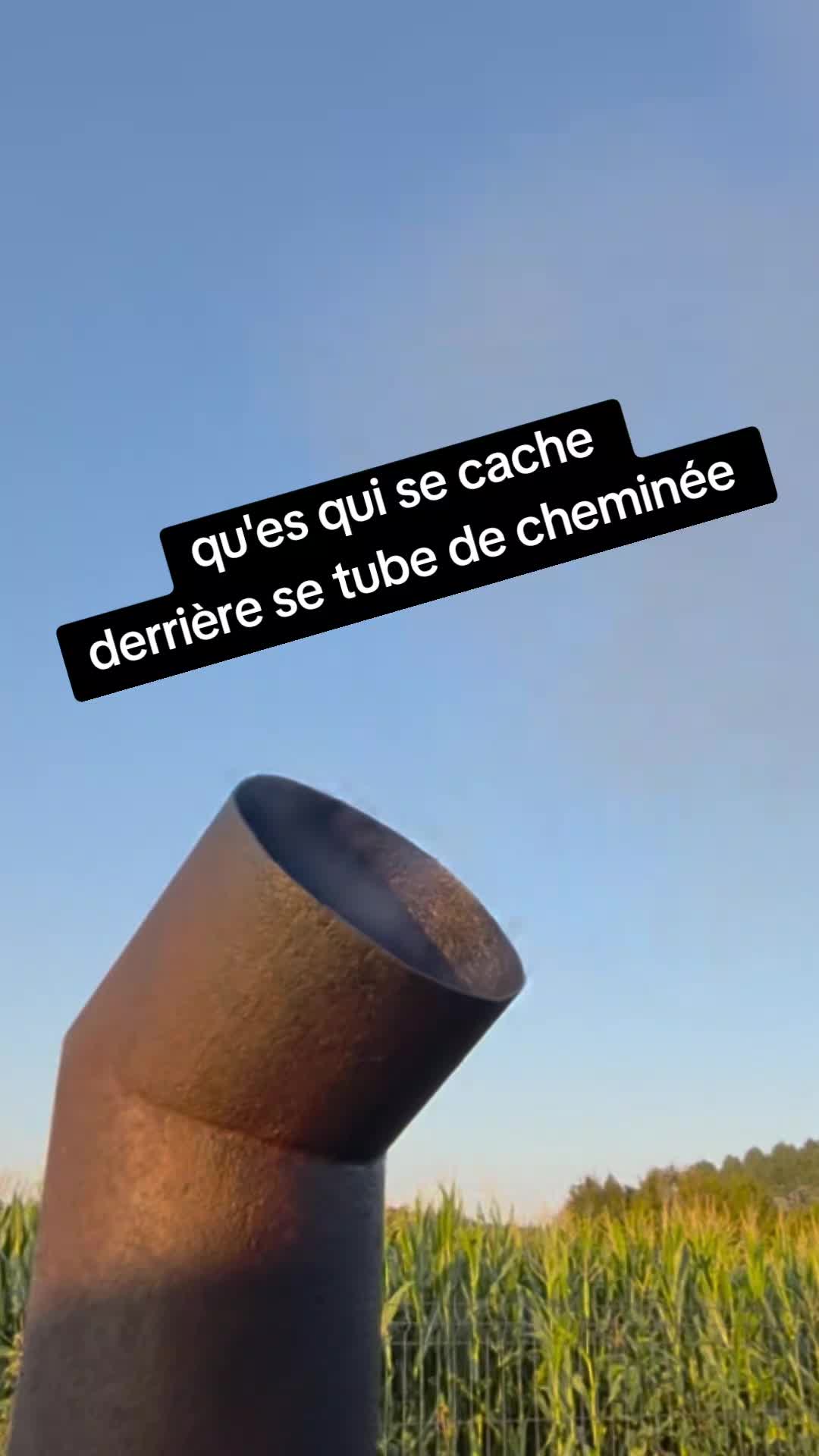 @la légende de tautor