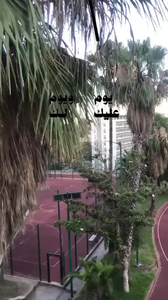 @Muslim 🤲🇩🇿