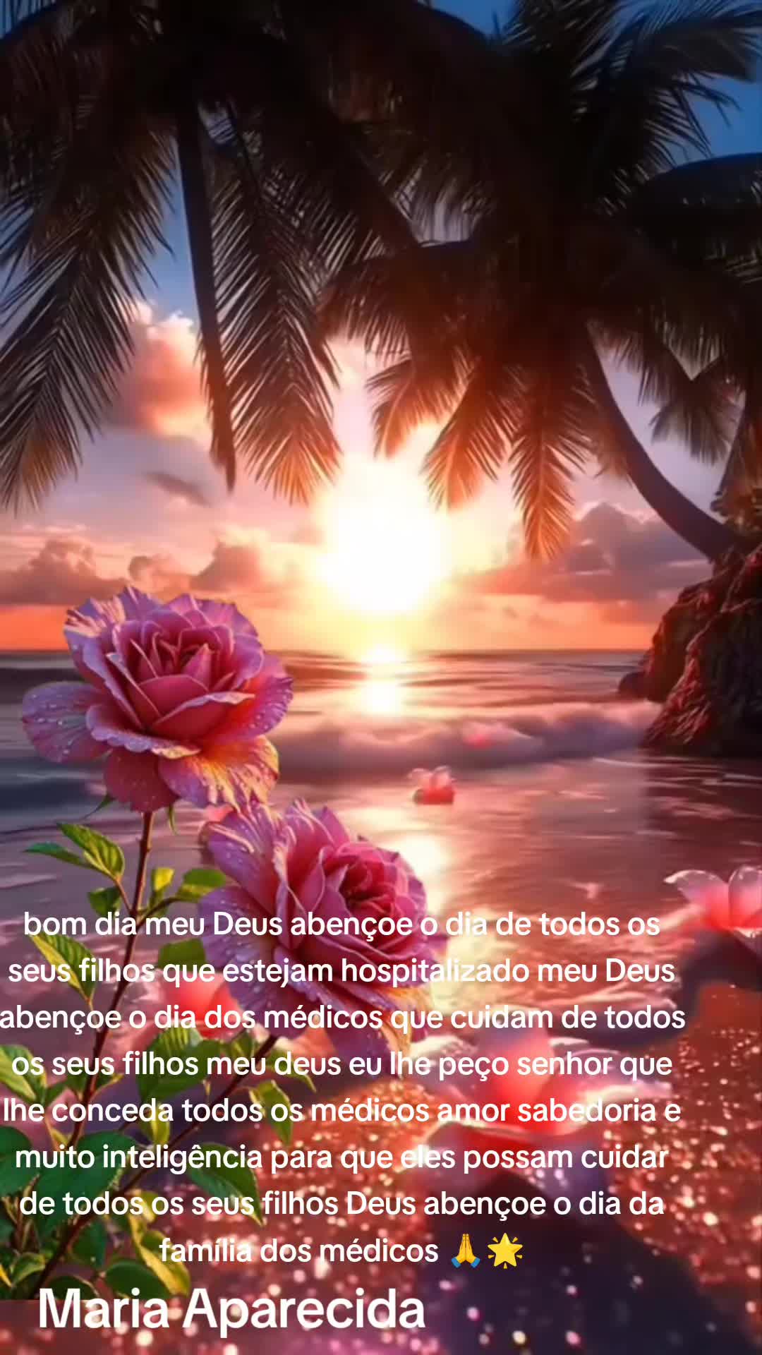 @Maria Aparecida