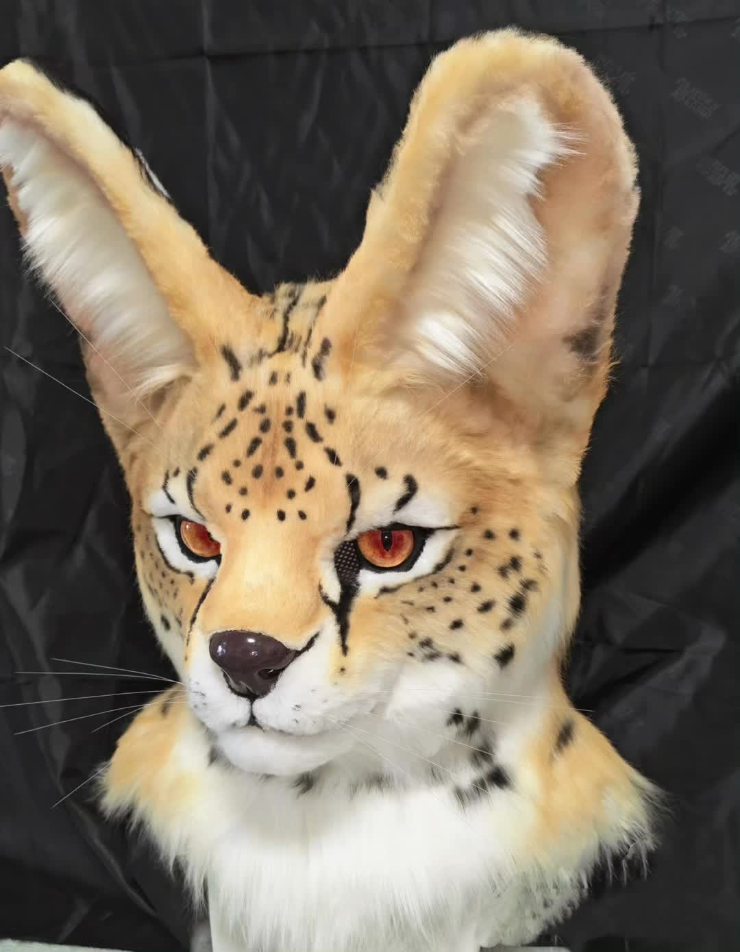 @RealFur