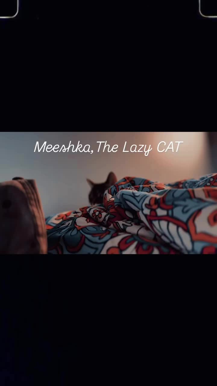 @1davetesh