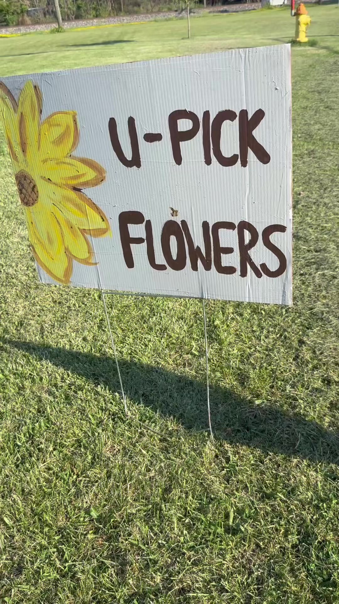@Amy