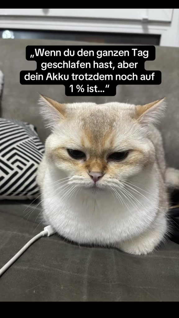 @Backet&Cosmo