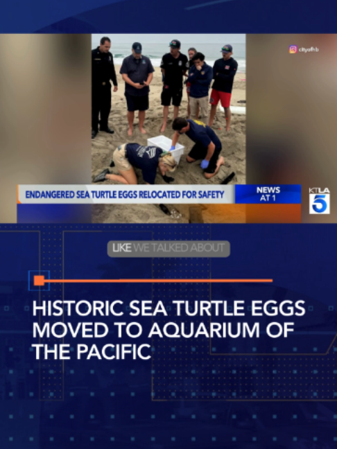 @KTLA 5 News