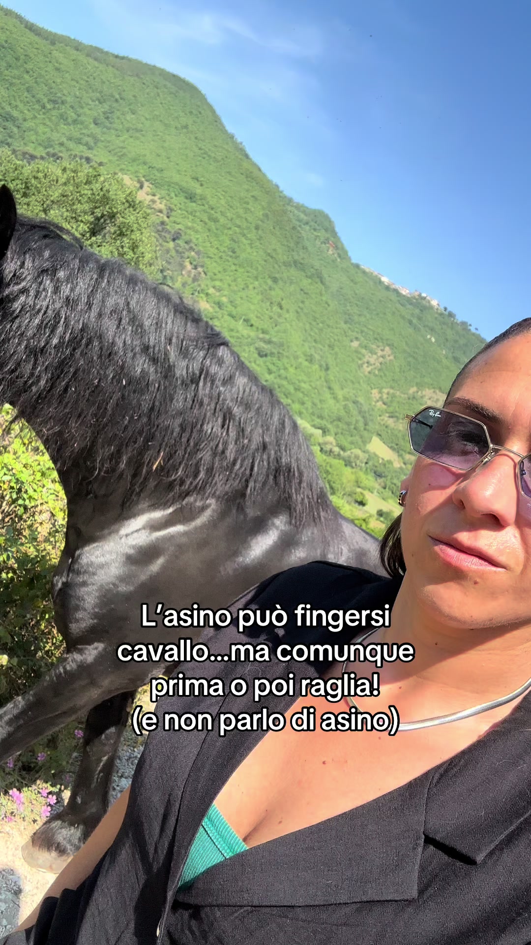 @black_the_friesian