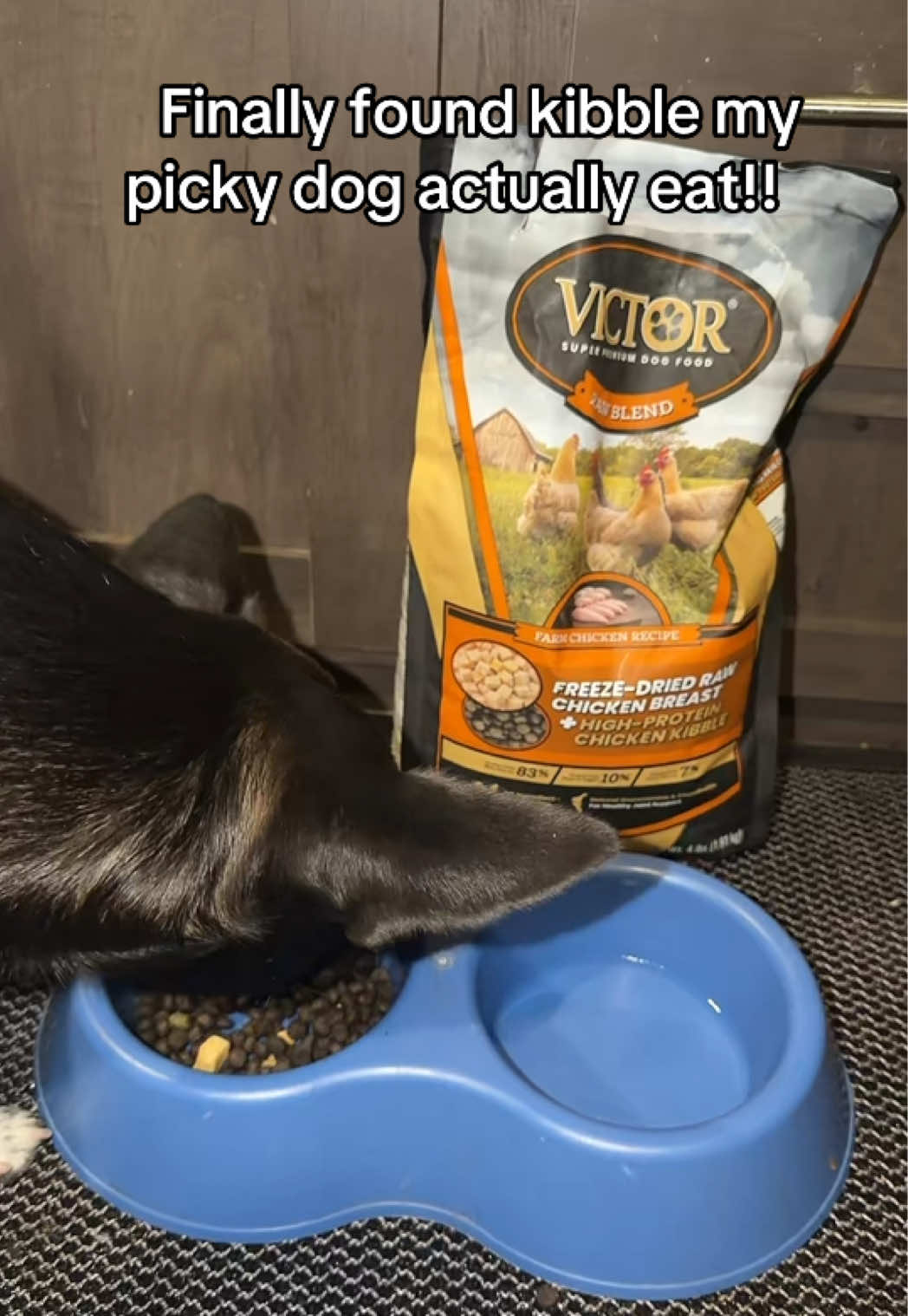 @VibeTimezReviews