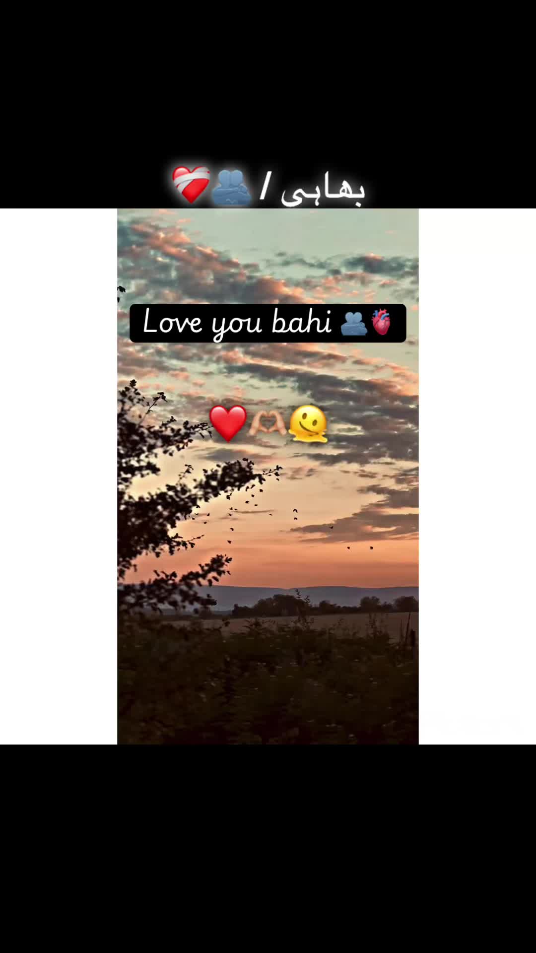 @صاحب 🍁🏴&zwj;☠️🚩